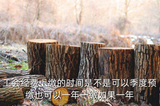 工會經(jīng)費(fèi)上繳的時間是不是可以季度預(yù)繳也可以一年一繳如果一年