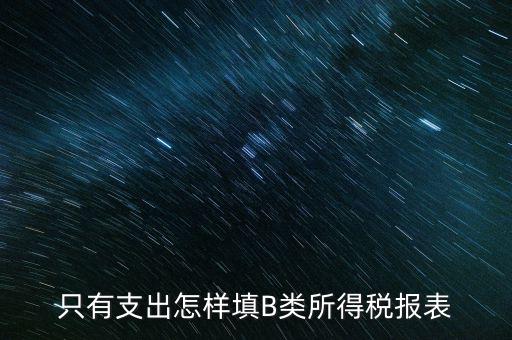 個人生產經(jīng)營所得B表稅金填什么，只有支出怎樣填B類所得稅報表