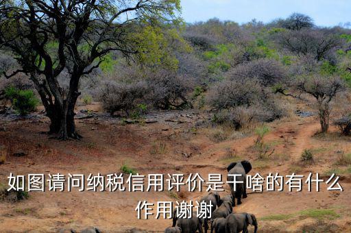 申請納稅信用復(fù)評需要什么資料，納稅信用評價的基本規(guī)范要求包括什么