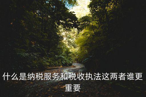 地稅納服是做什么，求助地稅納稅服務(wù)這個崗位有發(fā)展前景么
