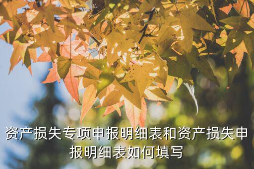 什么是專項(xiàng)資產(chǎn)損失申報(bào)表，所得稅申報(bào)表怎么填22資產(chǎn)損失