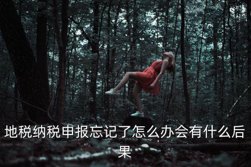 地稅納稅申報(bào)忘記了怎么辦會有什么后果