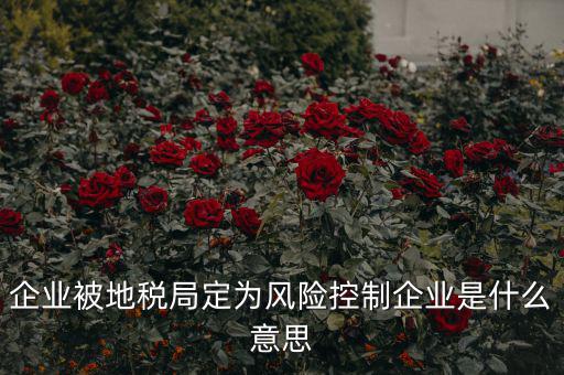 稅收風(fēng)險(xiǎn)控制是什么，稅務(wù)風(fēng)險(xiǎn)管理的稅務(wù)風(fēng)險(xiǎn)管理制度