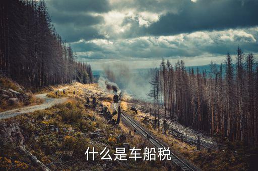 繳納車船稅是什么，什么是車船稅