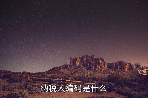 納稅人國稅編碼是什么意思，納稅人編碼是什么