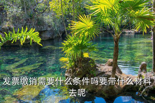 票證結報繳銷包括什么，去國稅局做稅票結報要帶哪些東西