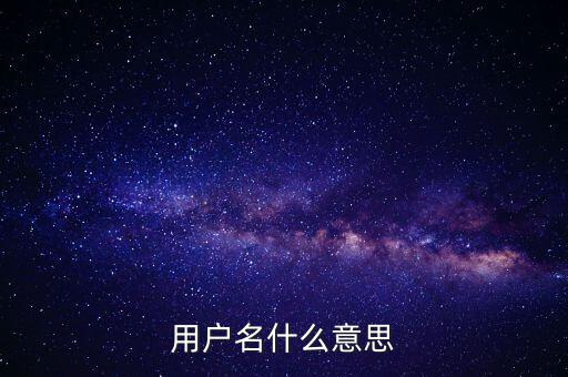 微稅用戶名是什么意思啊，用戶名什么意思
