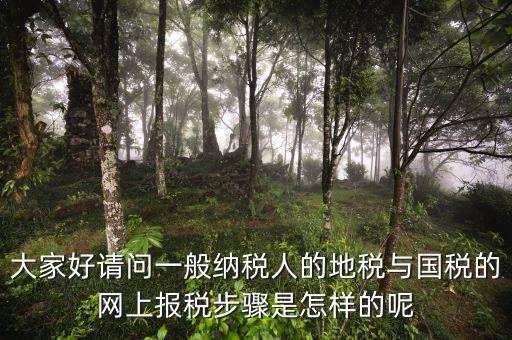 大家好請(qǐng)問(wèn)一般納稅人的地稅與國(guó)稅的網(wǎng)上報(bào)稅步驟是怎樣的呢