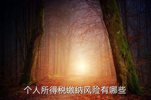 所得稅申報時有什么風險提示，個人所得稅繳納風險有哪些