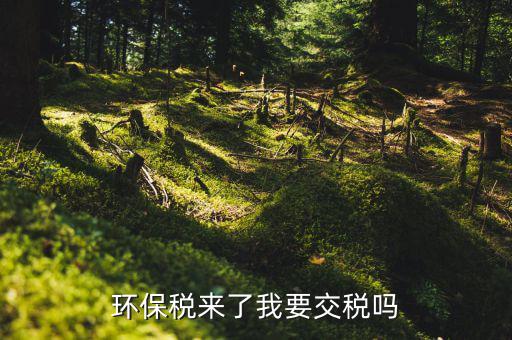 環(huán)境稅法規(guī)定了什么不同，環(huán)境保護稅法規(guī)定環(huán)境保護稅的征稅對象包括什么