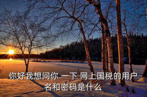 電子稅務(wù)的賬號(hào)密碼是什么，你好我想問(wèn)你 一下 網(wǎng)上國(guó)稅的用戶(hù)名和密碼是什么