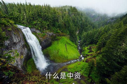 什么是境外中資控股居民，境外注冊(cè)中資控股居民企業(yè)和非境內(nèi)注冊(cè)居民企業(yè)區(qū)別