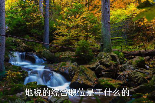 剛考進(jìn)地稅做什么工作，地稅的綜合職位是干什么的