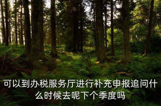 據(jù)實(shí)申報(bào)是按照什么申報(bào)，可以到辦稅服務(wù)廳進(jìn)行補(bǔ)充申報(bào)追問什么時候去呢下個季度嗎