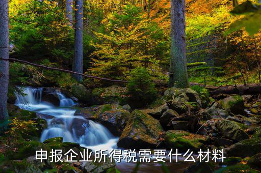 企業(yè)所得稅補(bǔ)申報(bào)需要什么，申報(bào)企業(yè)所得稅需要什么材料