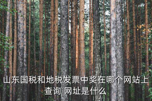 發(fā)票領用什么網(wǎng)站，誰知道發(fā)票兌獎上那個網(wǎng)站