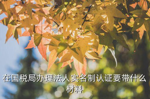 實(shí)名制辦稅員辦理需要什么資料，辦稅員證要帶什么資料