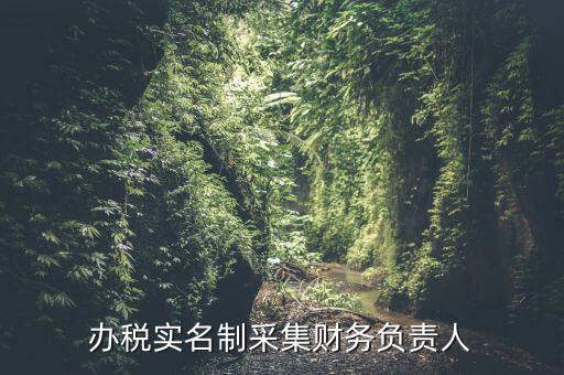 辦稅實名制采集財務(wù)負(fù)責(zé)人