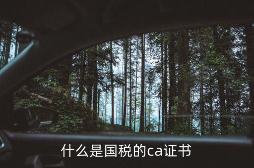 ca稅務數(shù)字證書是什么，什么是國稅的ca證書