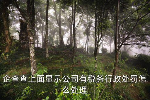 稅務(wù)行政處罰公示后什么時(shí)候消除，稅務(wù)處理決定書何時(shí)生效