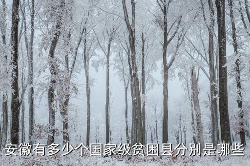 壽縣稅務(wù)局在什么地方，壽縣在什么地方