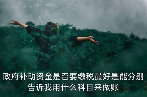 政府補(bǔ)貼交什么稅，關(guān)于政府補(bǔ)助的納稅問題 請(qǐng)高手來回答啊 謝謝