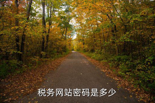 國稅登陸用戶名密碼是什么，電子稅務(wù)局密碼怎么查