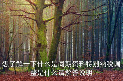 關(guān)聯(lián)申報(bào)同期資料是什么，想了解一下什么是同期資料特別納稅調(diào)整是什么請(qǐng)解答說明