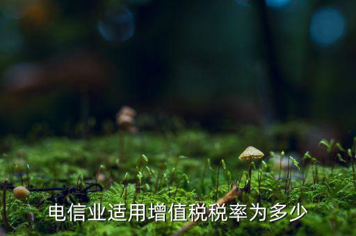 電信服務(wù)什么時候繳納增值稅，電信業(yè)適用增值稅稅率為多少