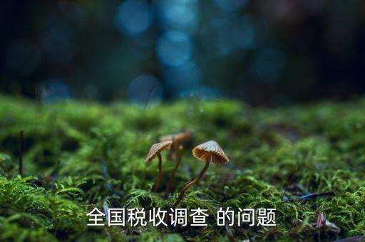 全國稅收調(diào)查是什么呢，全國稅收調(diào)查表說明