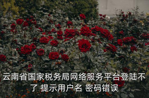 云南稅控服務(wù)平臺(tái)的網(wǎng)址是什么，云南國稅開票系統(tǒng)網(wǎng)址