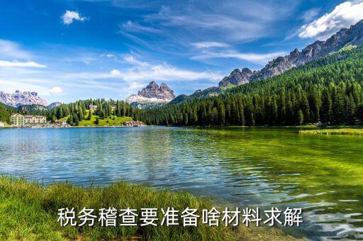 稅收調(diào)查需要什么資料，稅務(wù)檢查調(diào)閱企業(yè)會(huì)計(jì)資料需要辦理什么手續(xù)
