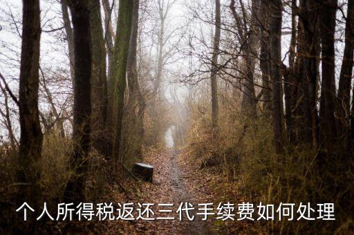 地稅局的退付三代手續(xù)費是什么意思，三代手續(xù)費返還該計入什么科目