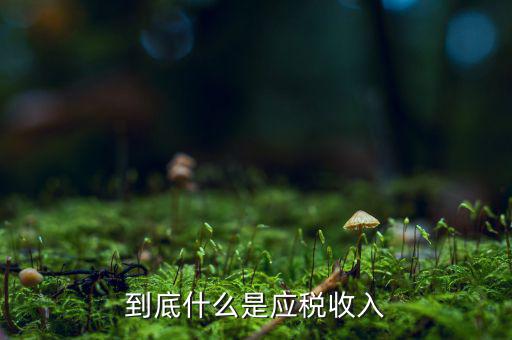 應稅銷售收入是什么意思，應稅銷售額是什么意思
