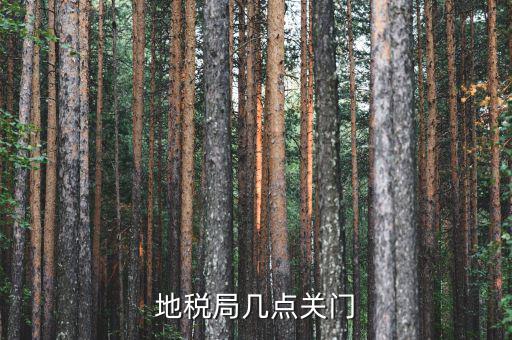 合肥市地稅局什么時候下班，地稅局幾點關門