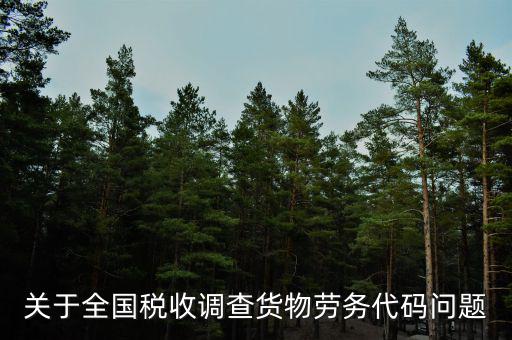 關(guān)于全國稅收調(diào)查貨物勞務代碼問題