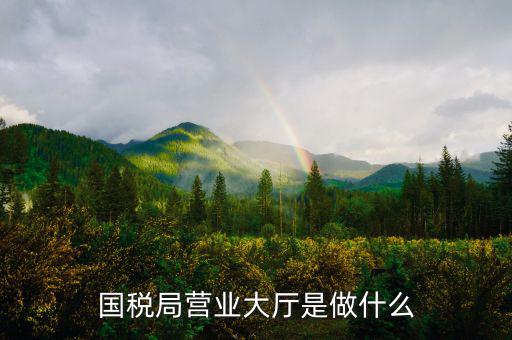 國(guó)稅局大廳工作是什么，國(guó)稅大廳咨詢(xún)?nèi)藛T具體是做什么工作的