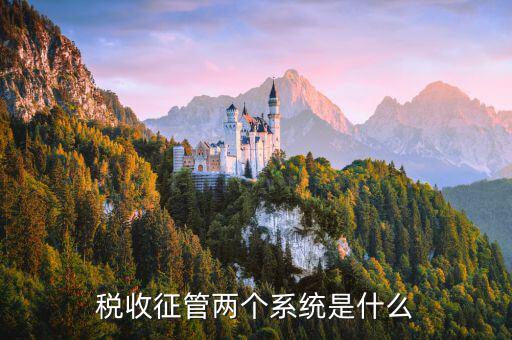 稅務(wù)什么叫核心征管系統(tǒng)，稅收征管兩個(gè)系統(tǒng)是什么