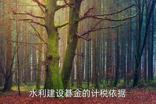 西安水利基金的計稅依據(jù)是什么，水利建設碁金的計稅依據(jù)