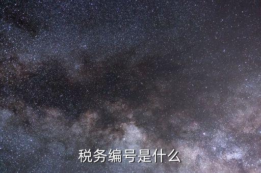 納稅人國(guó)稅編碼是什么，納稅編碼是什么