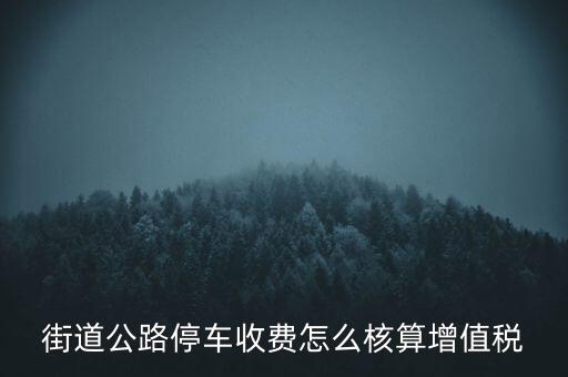 街道公路停車(chē)收費(fèi)怎么核算增值稅