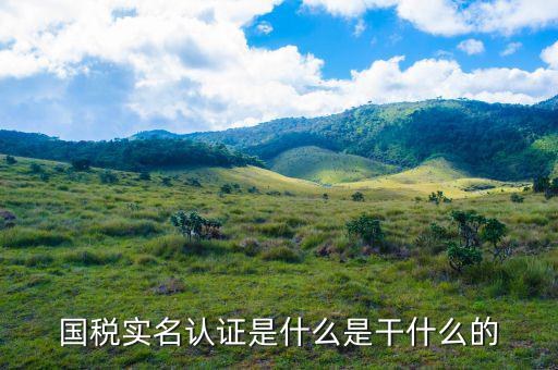 深圳國稅實名認證到什么時候，電子稅務局實名認證有時間限制嗎