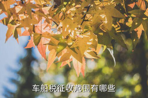 應(yīng)征車船稅有什么，車船稅的征稅范圍