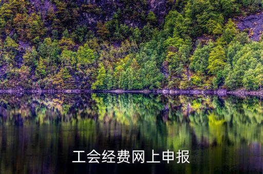 工會經(jīng)費在什么地方申報，有關(guān)工會經(jīng)費申報的問題