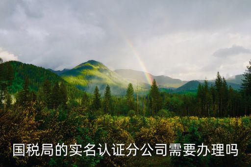 四川國(guó)稅局實(shí)名認(rèn)證需要什么手續(xù)，在國(guó)稅局辦理法人實(shí)名制認(rèn)證要帶什么材料