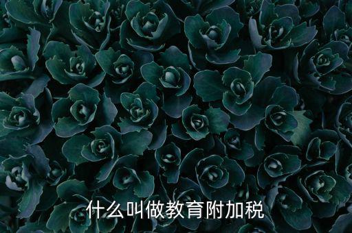 教育附加什么意思，教育費附加代表什么意思