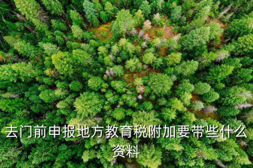 附加稅申報(bào)需要什么材料，去地稅局繳納營(yíng)業(yè)稅金及附加需要帶什么資料