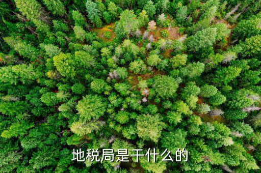 地稅主要負(fù)責(zé)什么工作總結(jié)，地稅局一般做什么工作啊