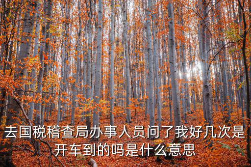 國稅說需要運維是什么意思，什么條件需要辦理國稅我是一個月收入2千左右的維修小檔口也要輸