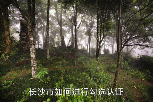 如何進(jìn)行網(wǎng)上勾選，對(duì)方開出增值稅專用發(fā)票多長時(shí)間可以進(jìn)行網(wǎng)上勾選認(rèn)證